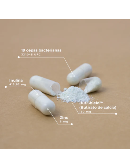 KOBHO PRE-POST PROBIOTICO 60 CAPSULAS