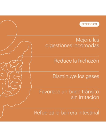 BE LEVELS DIGESTYA 60 CÁPSULAS